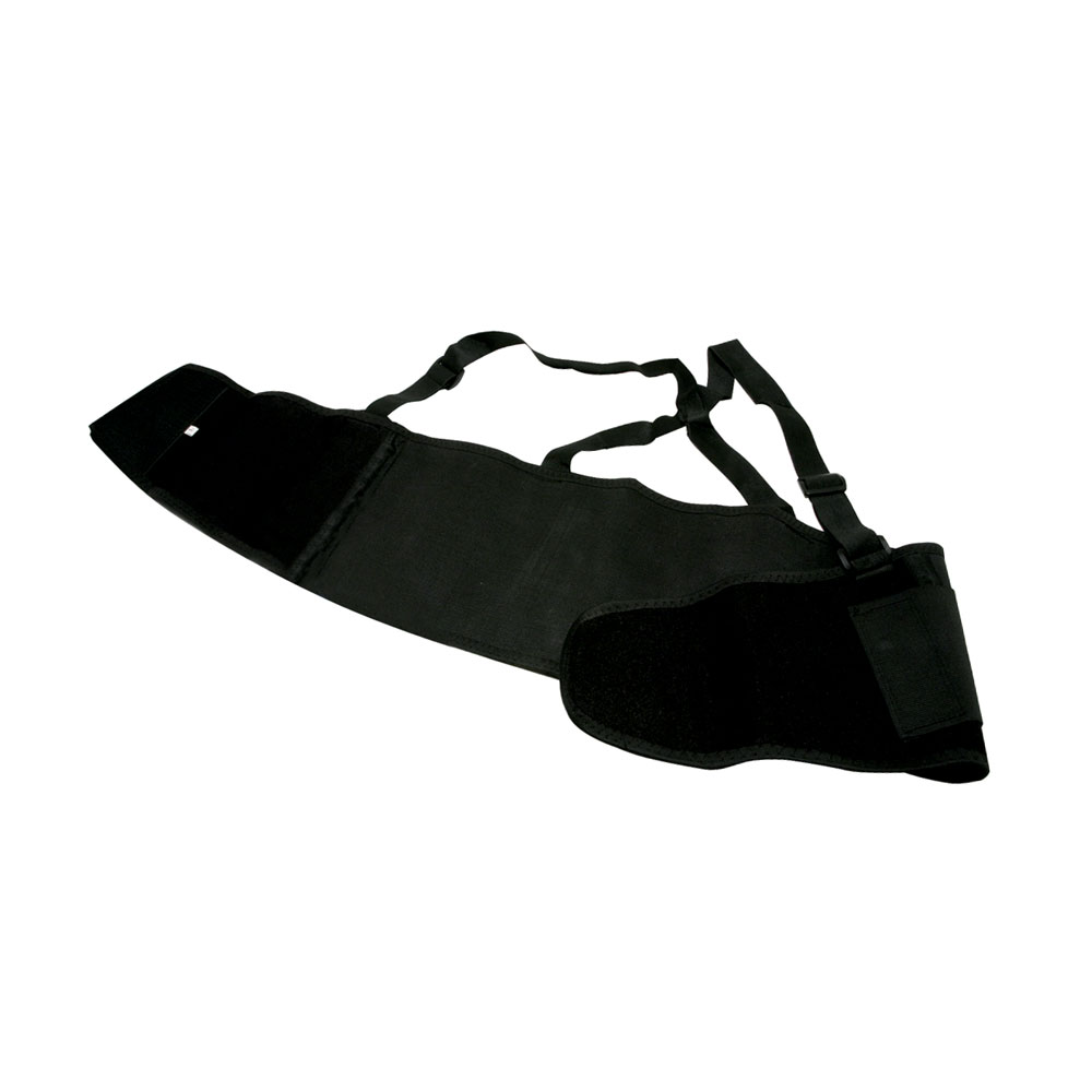 Back Support Belt