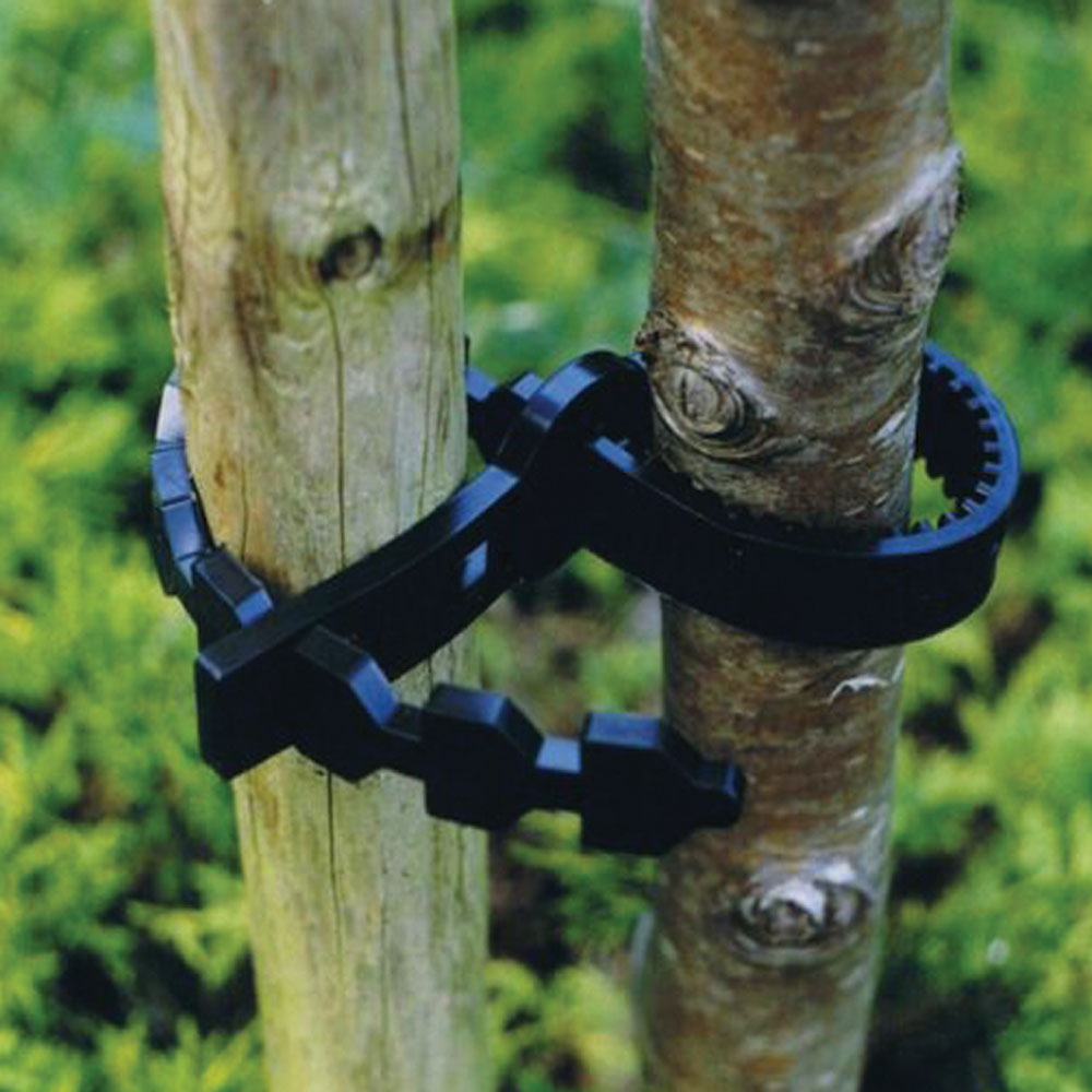 Tree Ties