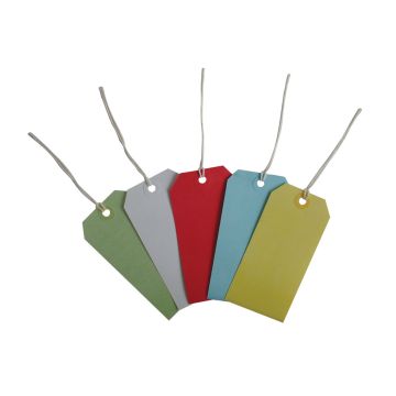 Coloured Strung Tags 120 x 60mm