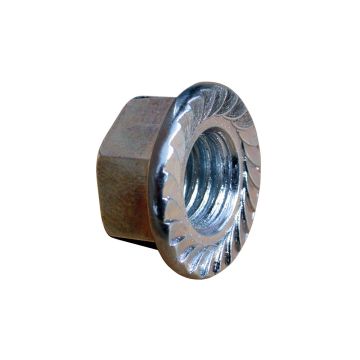 Serrated Flange Nuts- Zinc