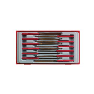 Teng 12 Piece Needle File Set in TT Tray
